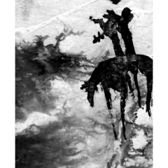 19_013 15x35