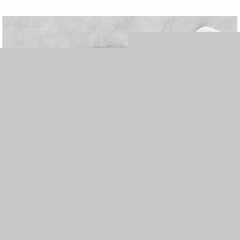 14_389 41x55